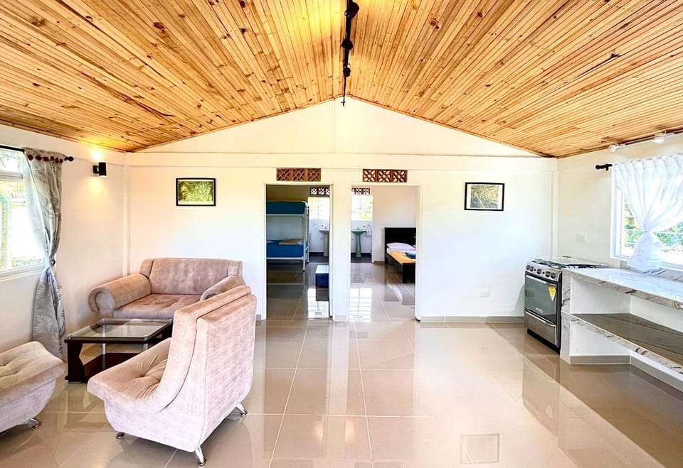 Kitchen or kitchenette, Living room, Seating area