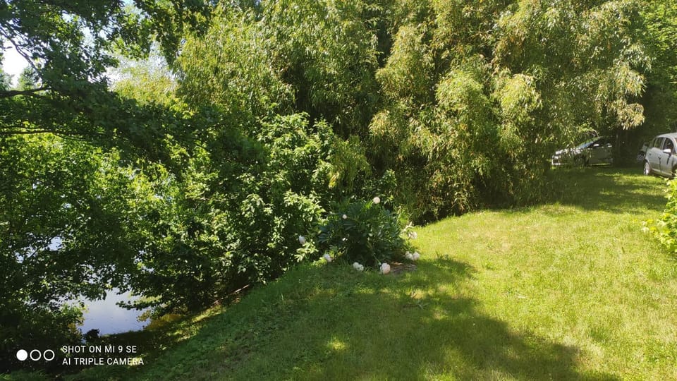Day, Natural landscape, Garden, Garden view, River view