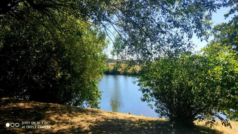 Natural landscape, River view