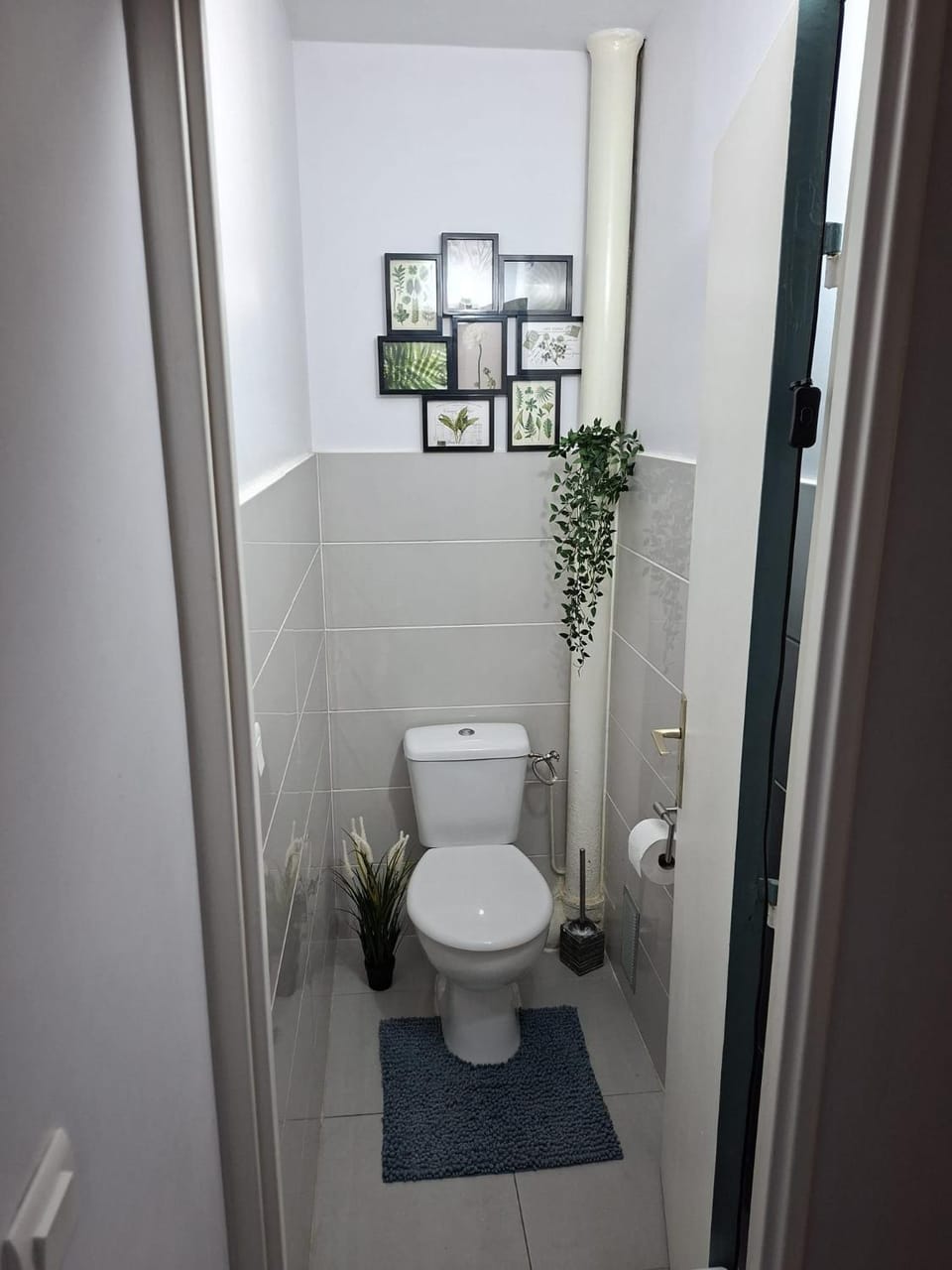 Flore Apartment in Toulouse