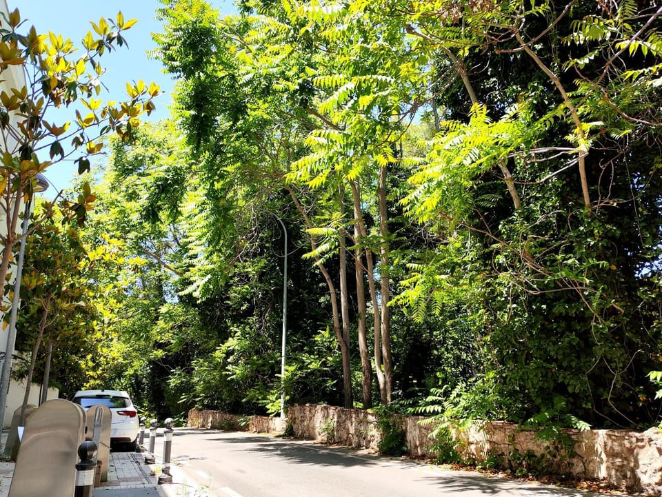 Property building, Spring, Off site, Neighbourhood, Natural landscape