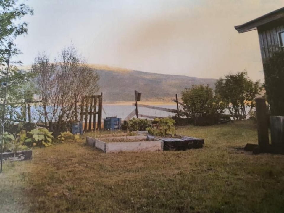 Lake view