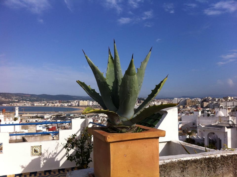 Maison traditionnelle dans la casbah de Tanger House in Tangier