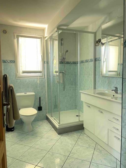 Le Priest - Calme, hopital nord, fac de médecine Apartment in Auvergne-Rhône-Alpes