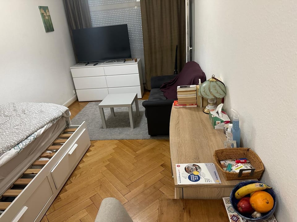 Cute Geneva Studio Apartment in Geneva
