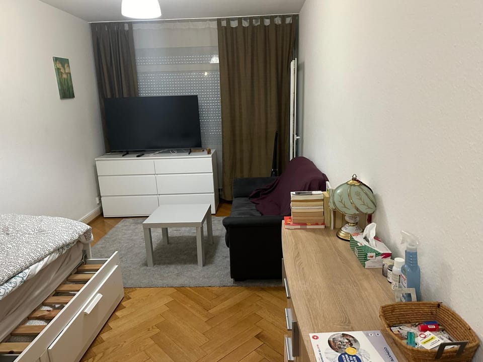 Cute Geneva Studio Apartment in Geneva