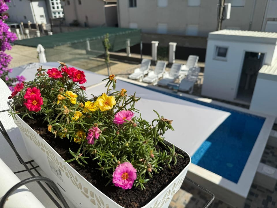 Apartmani Hadžić Bed and Breakfast in Ulcinj Municipality