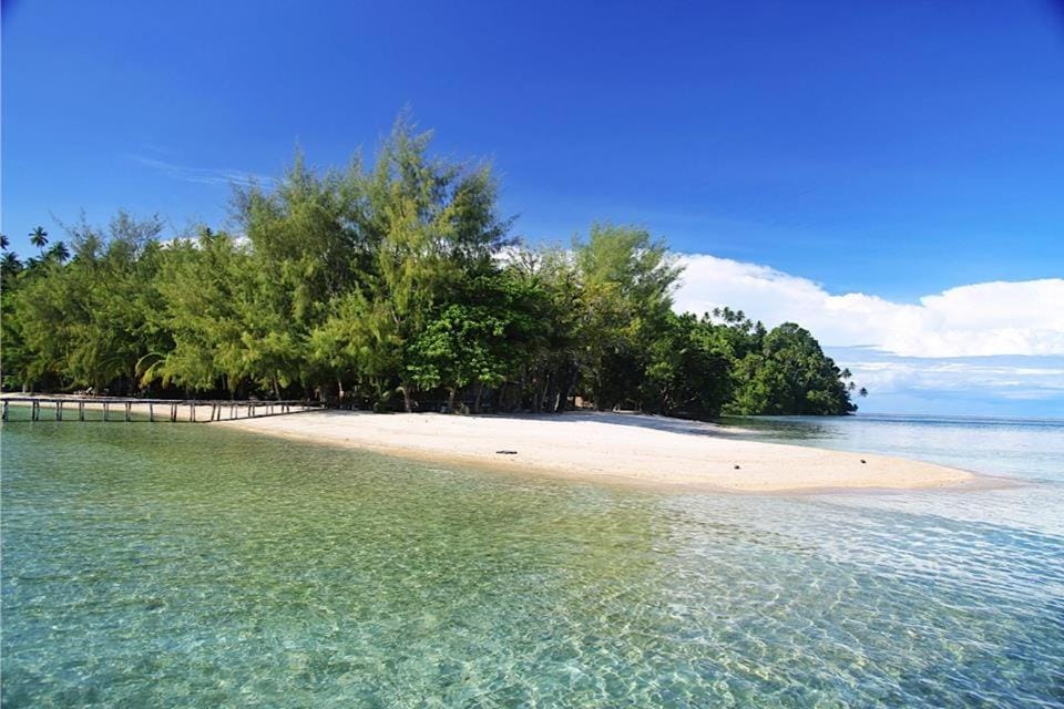 Natural landscape, Beach