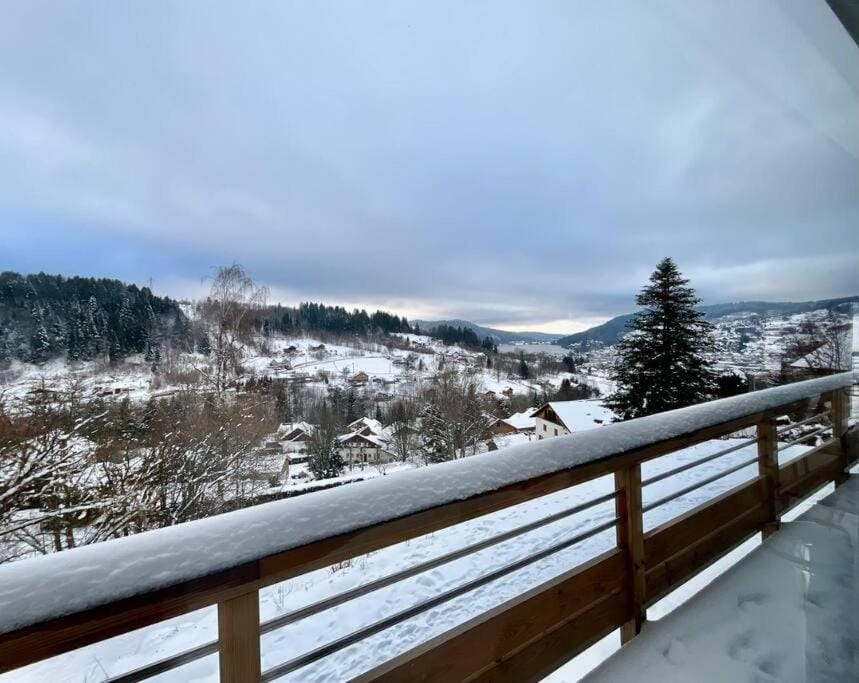 Balcon des Gouttridos, imprenable vue lac 6p Chalet in Gérardmer