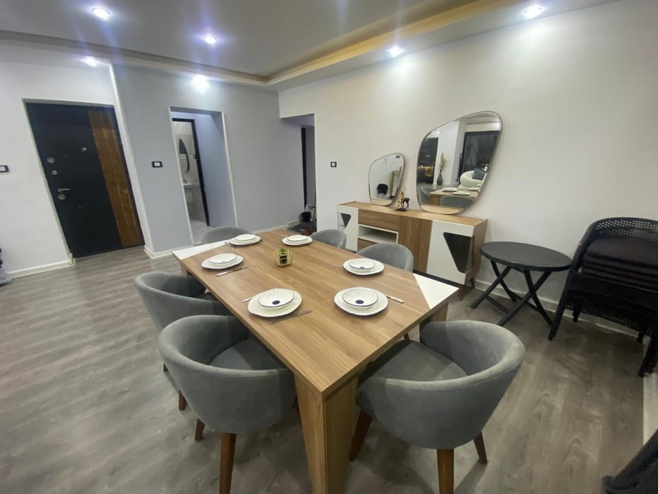 شقه فندقية علي النيل مباشر Apartment in Cairo