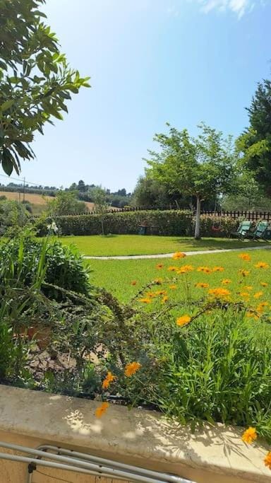 Dreamhouse Georgia House in Halkidiki