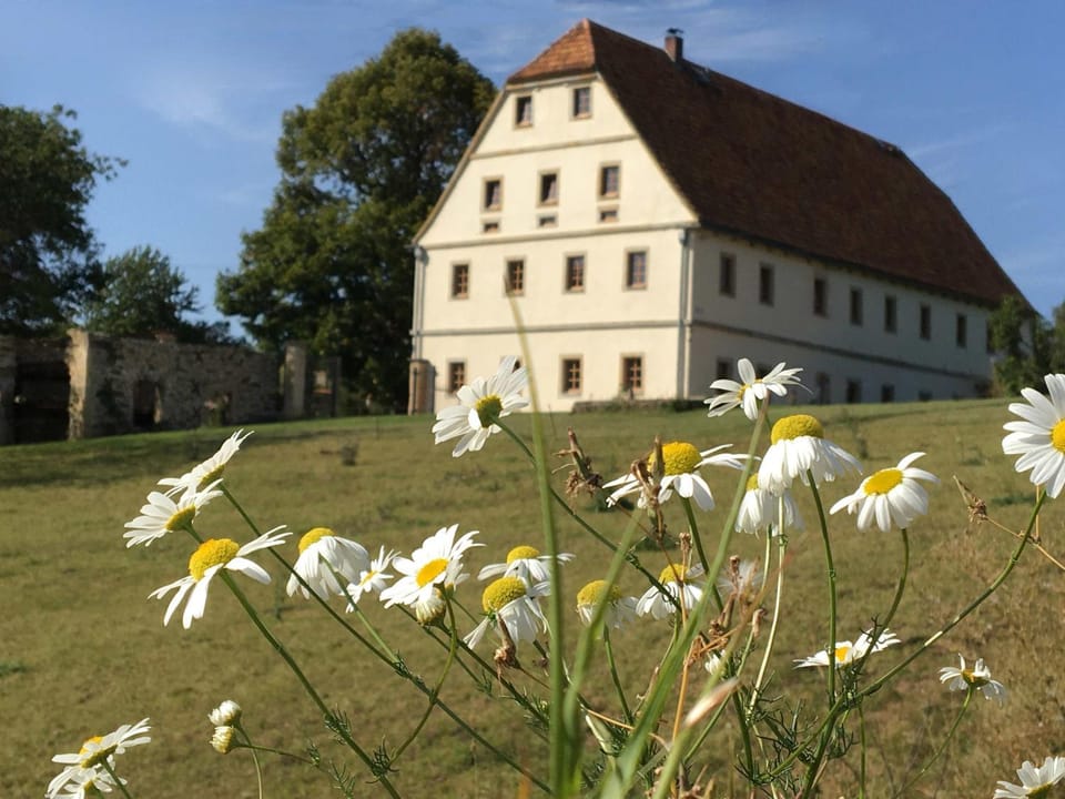Property building, Summer