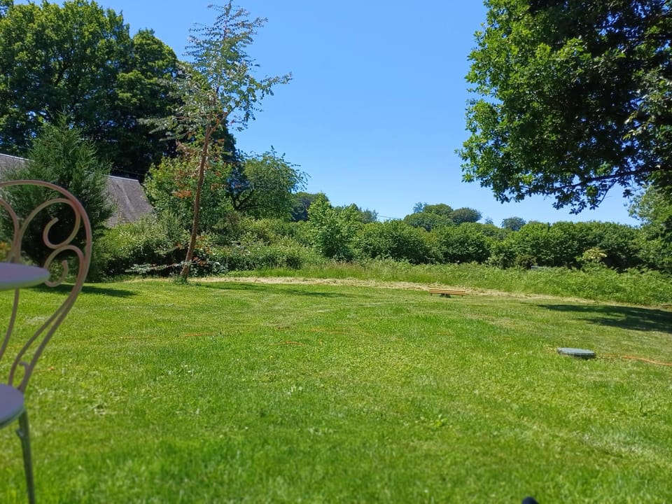 La petite Salamandre bleue Bed and Breakfast in Nouvelle-Aquitaine