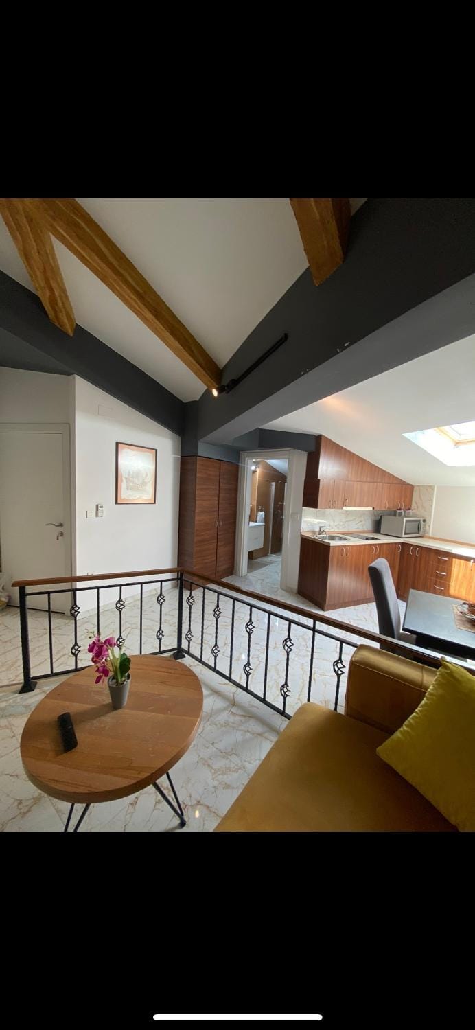 Palm Suite - City center Apartment in Montenegro