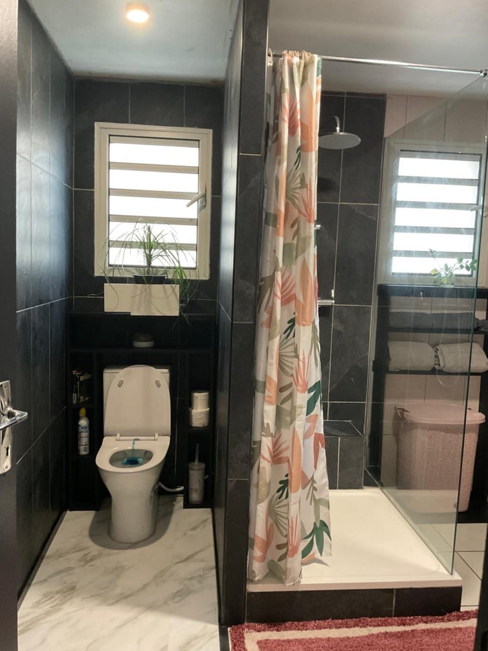 Shower, Toilet, Bathroom, towels