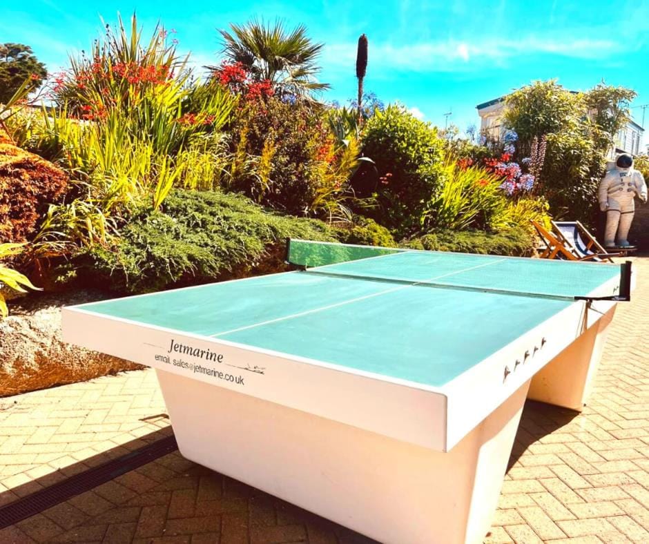 Table tennis, Table tennis