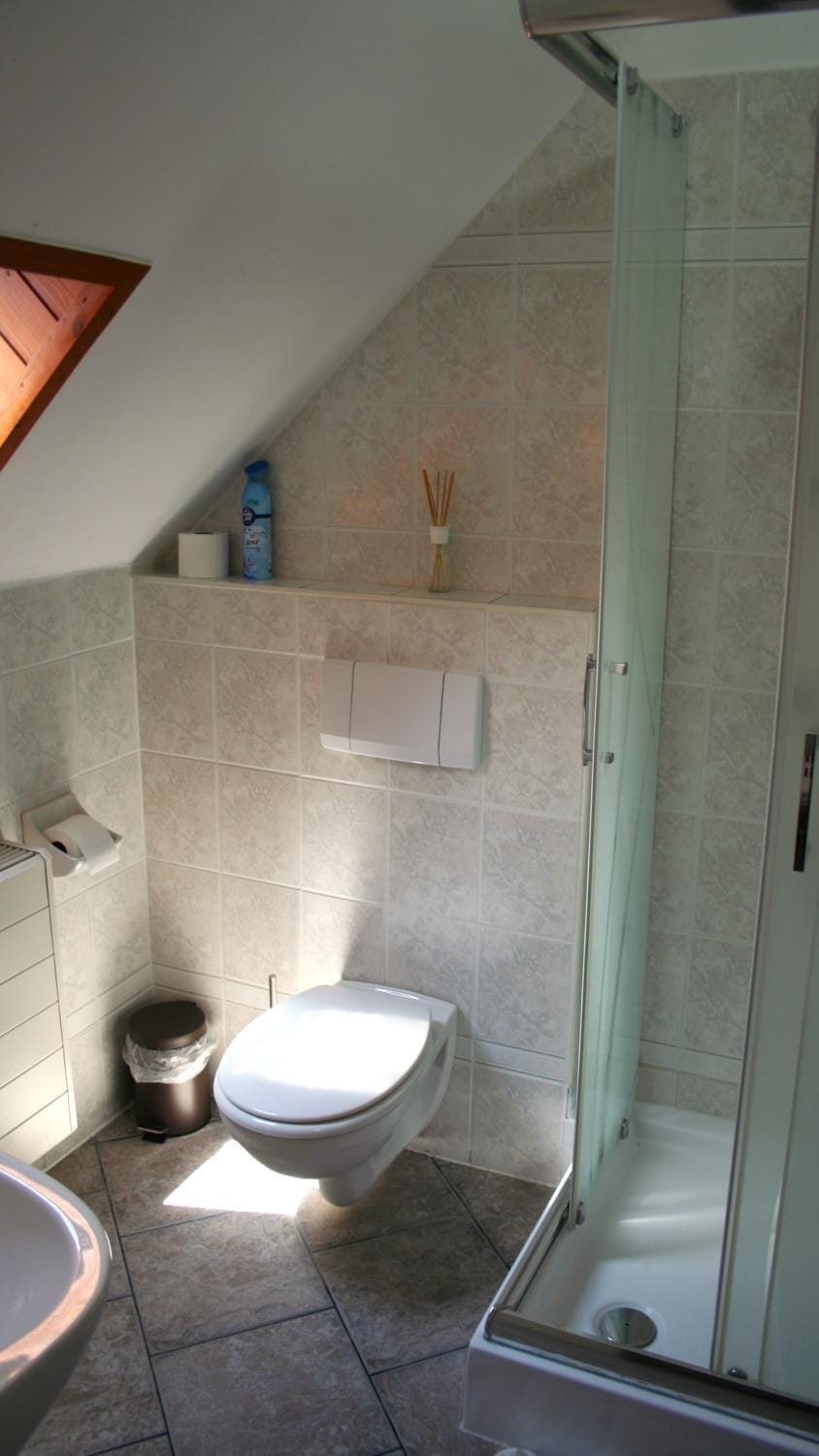 Shower, Toilet