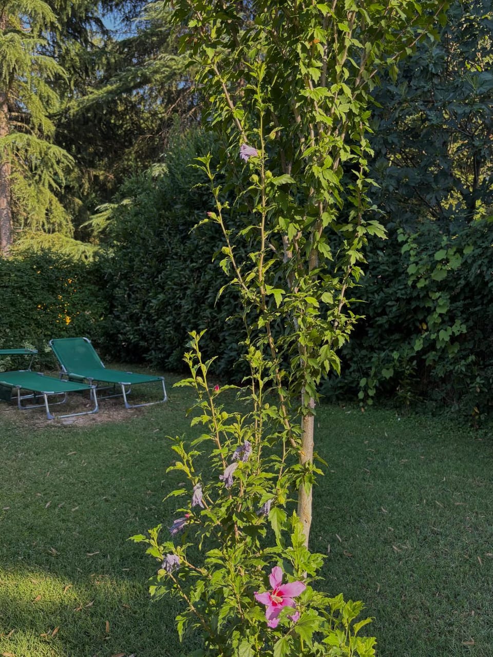 La casa gialla Apartment in Colle di Val d Elsa
