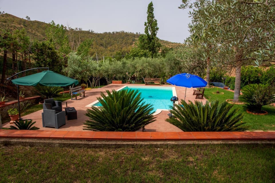 Day, Garden view, Mountain view, Pool view, Swimming pool, sunbed