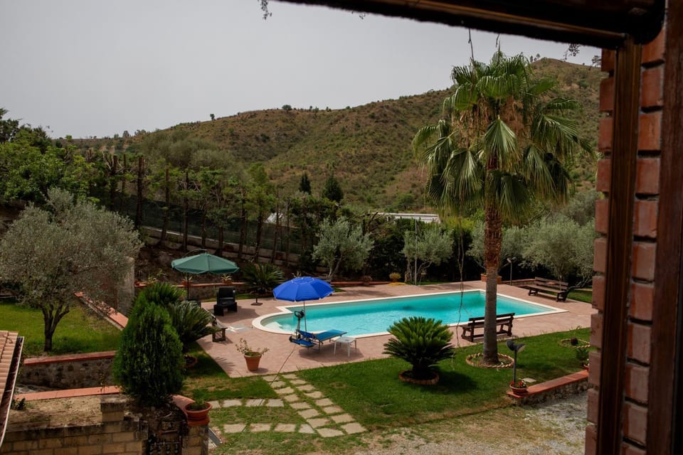 Garden, Garden view, Swimming pool
