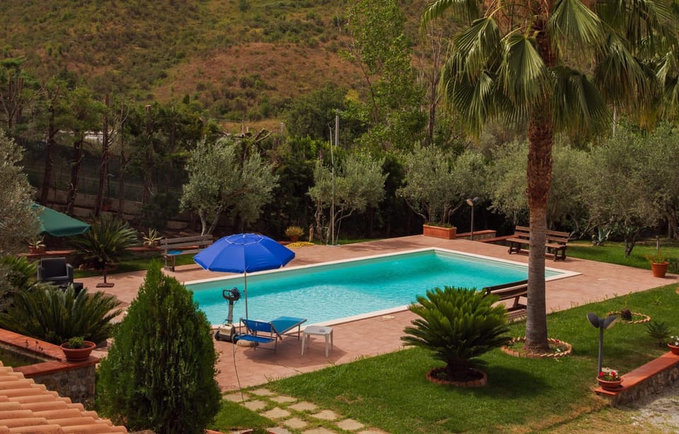 Pool view, Swimming pool