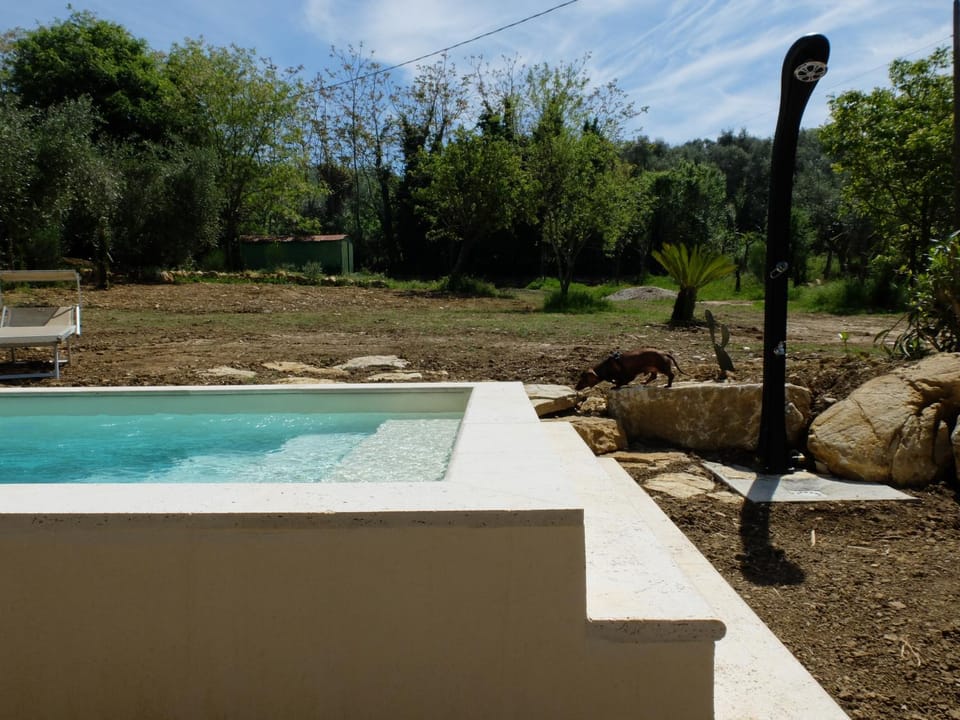 Garden, Pool view, Swimming pool
