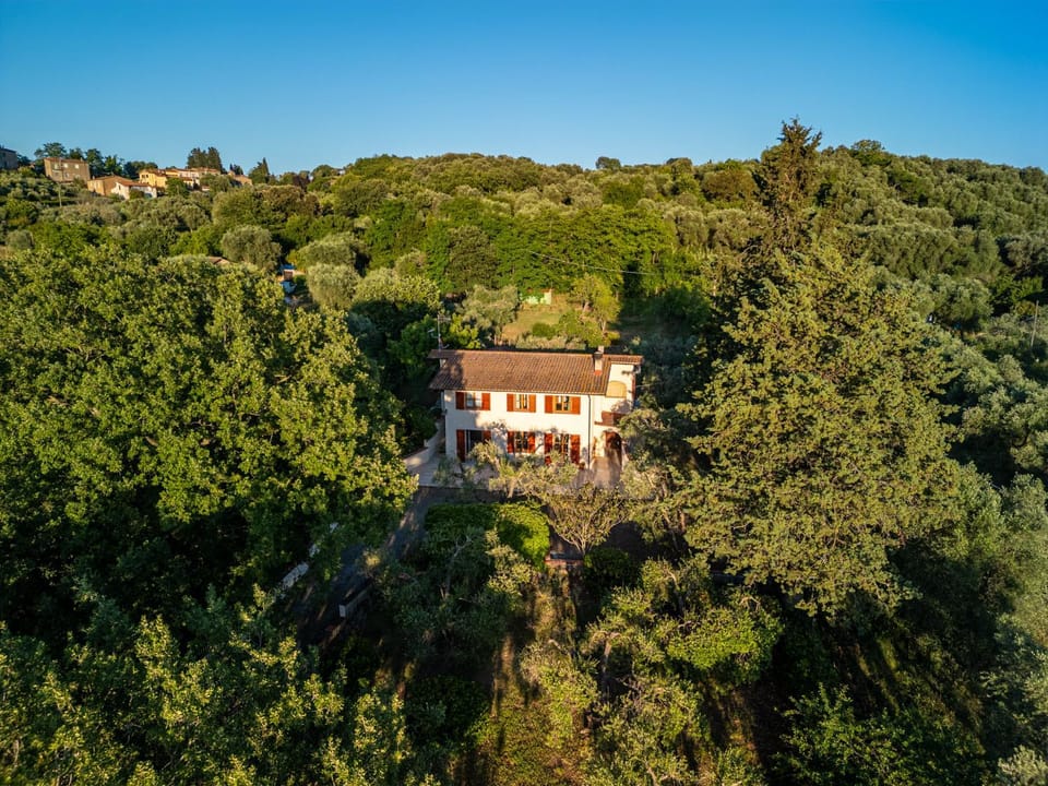 Property building, Natural landscape, Bird's eye view