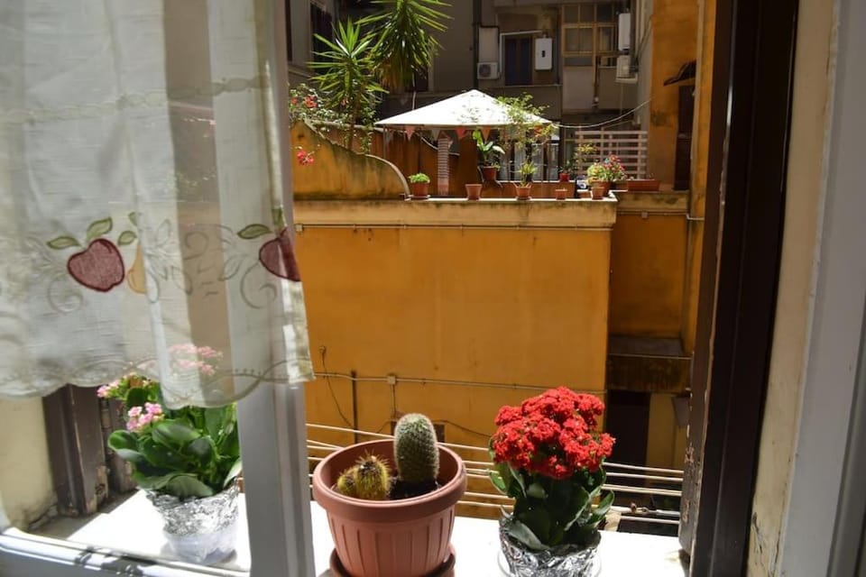 View (from property/room), kitchen