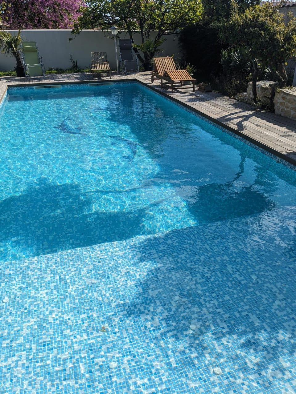 Pool view, Swimming pool, sunbed