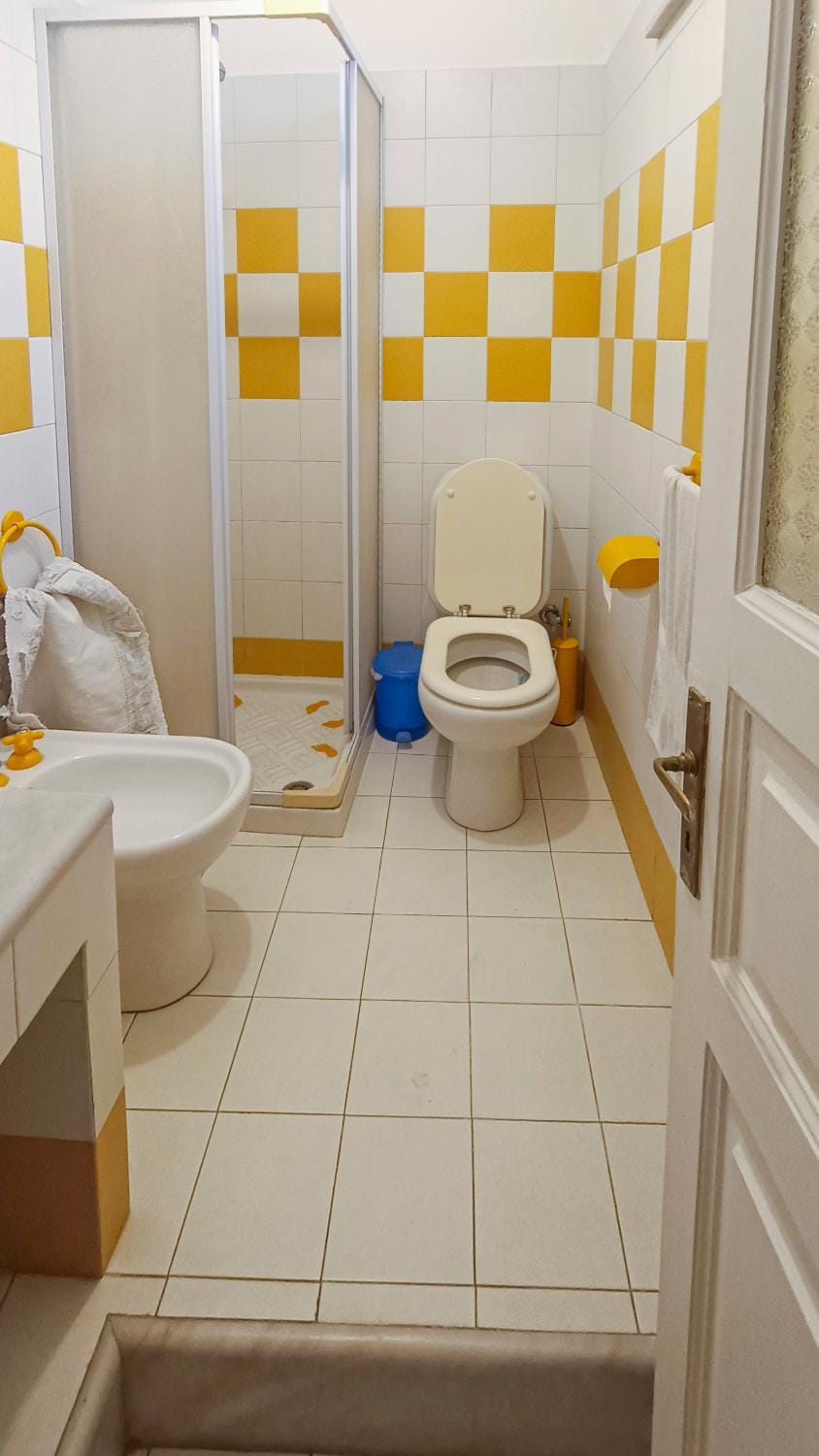 Shower, Toilet, Bathroom, bidet