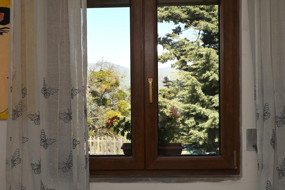 Day, Garden view