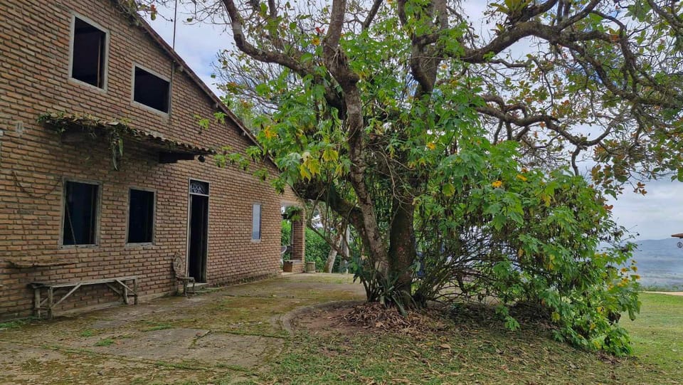 Facade/entrance, Garden