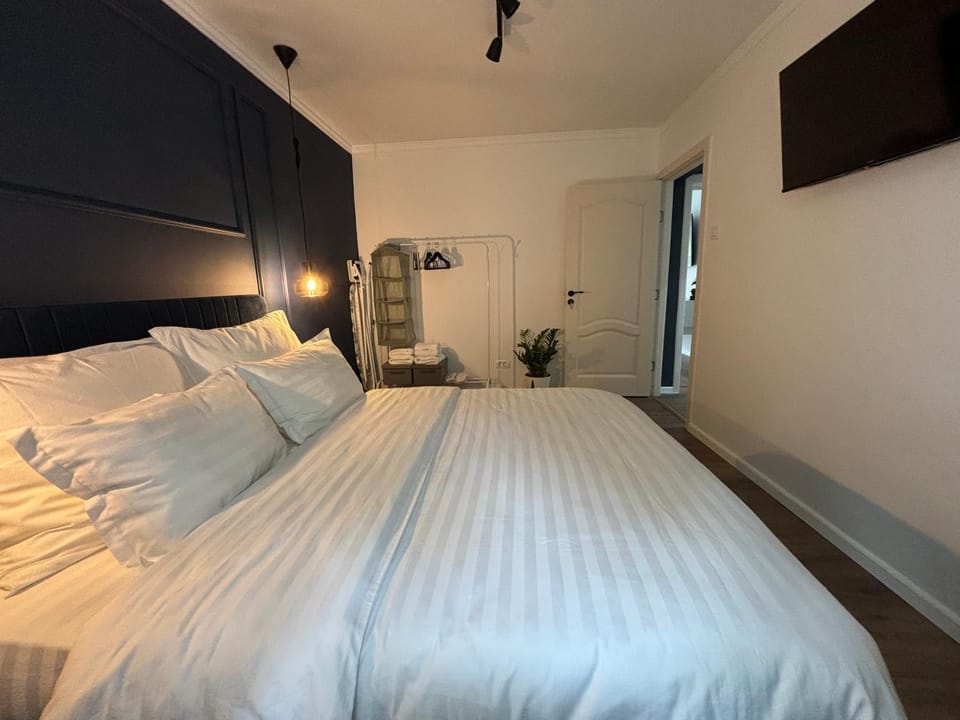 Otilia Home Apartment in Serbia