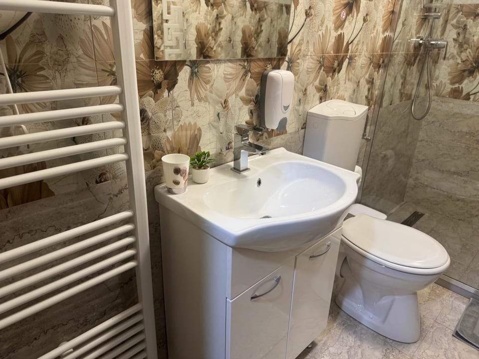 Casa DanAdy Bed and Breakfast in Sibiu