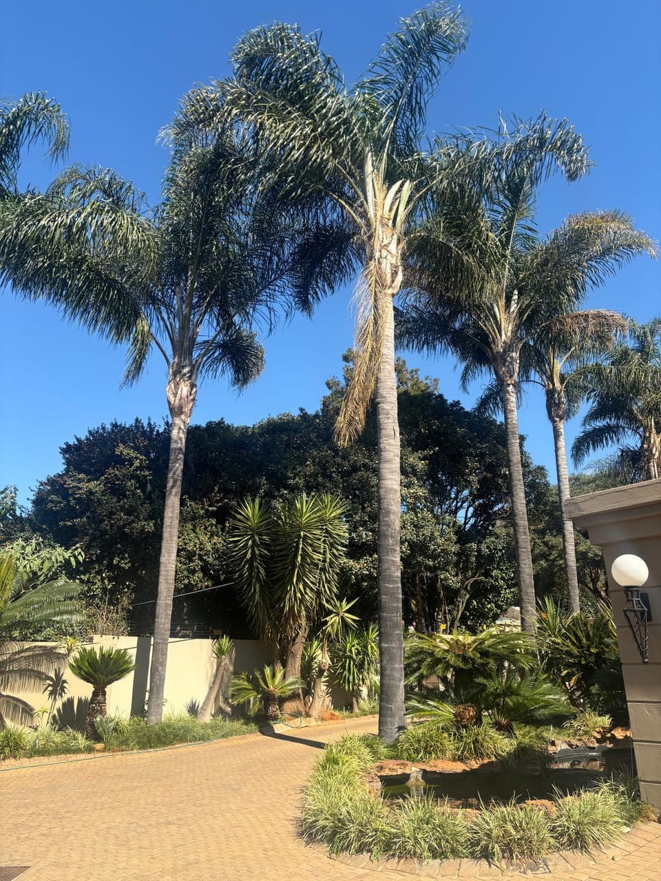 Property building, Garden view