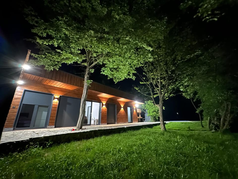 Property building, Night, Garden view