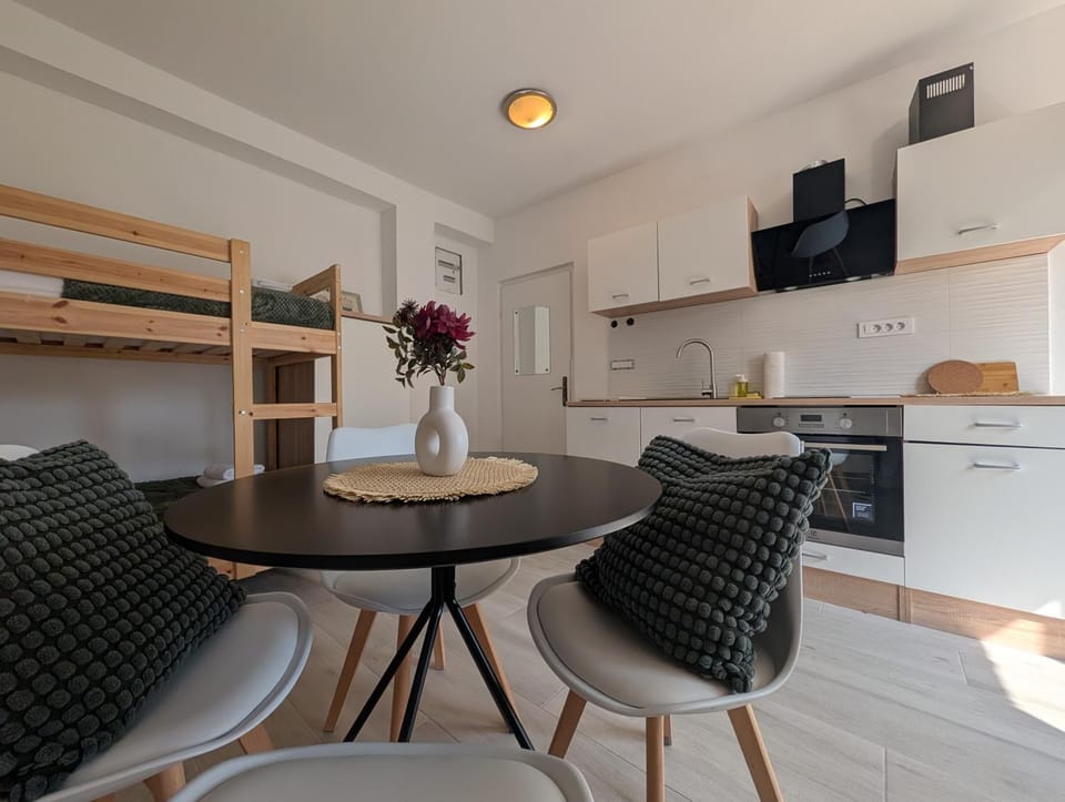 TV and multimedia, Kitchen or kitchenette, Living room, Seating area, Dining area, minibar, oven, pet friendly, stove