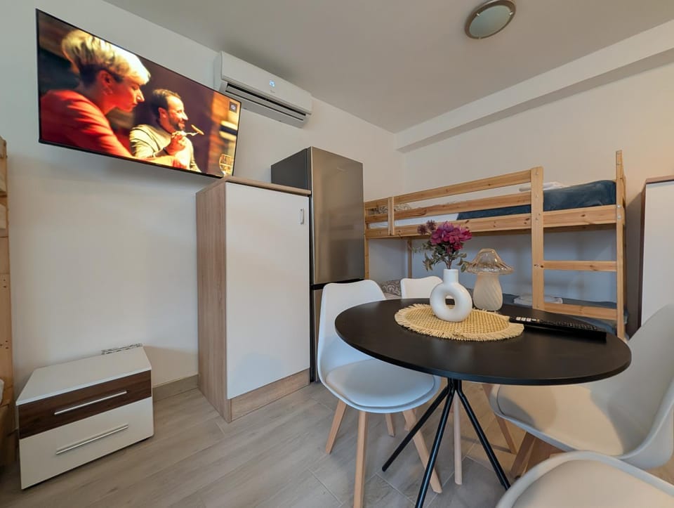 Bed, TV and multimedia, Kitchen or kitchenette, Living room, Photo of the whole room, Seating area, Dining area, Bedroom, bunk bed