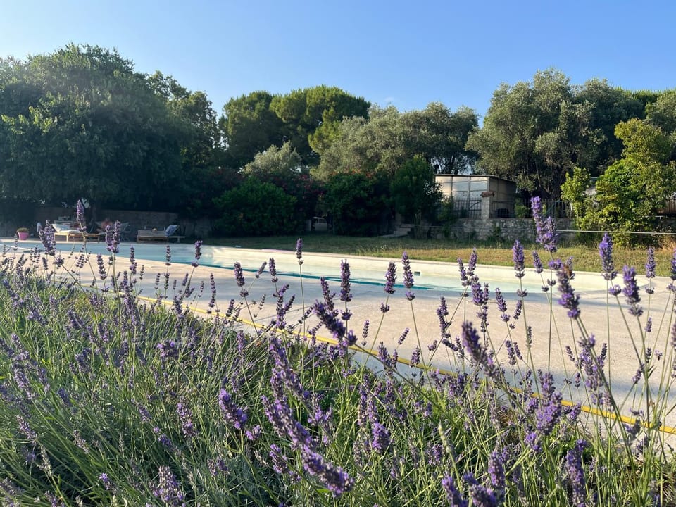 3 pièces au dernier étage dans bastide grassoise Apartment in Grasse