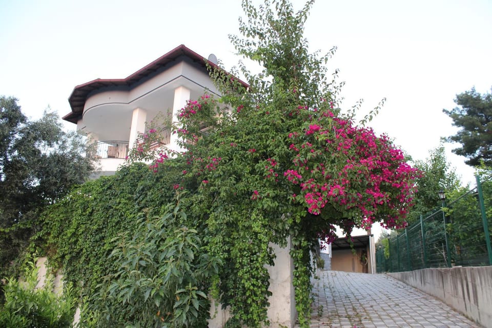 Oktapolis Villa in Dalaman