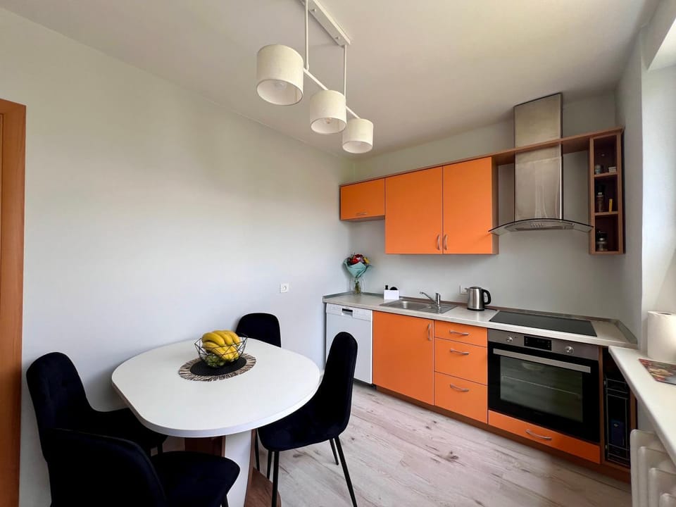 Tytuvėnai-trumpalaikė nuoma Apartment in Lithuania