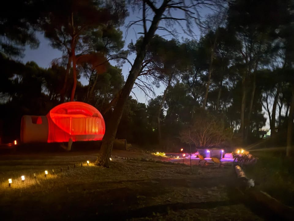 La Bulle des Pins Luxury tent in Provence-Alpes-Côte d'Azur