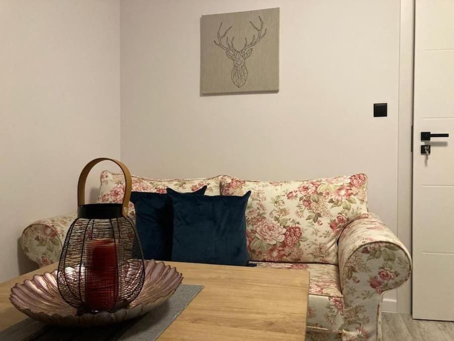 Apartament Lawendowa 9 dom nr 5 Apartment in Leba