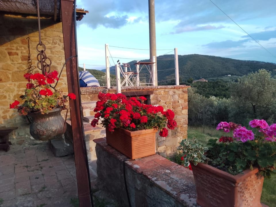 Natural landscape, Garden, Balcony/Terrace, Garden view