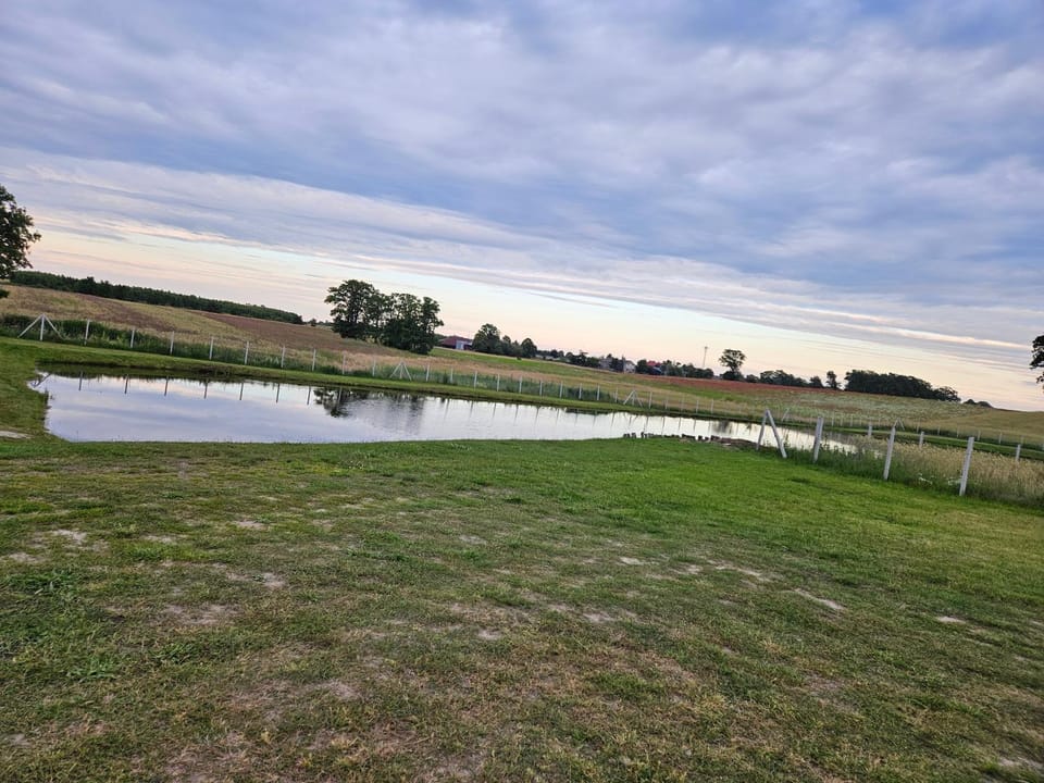Domek House in Greater Poland Voivodeship