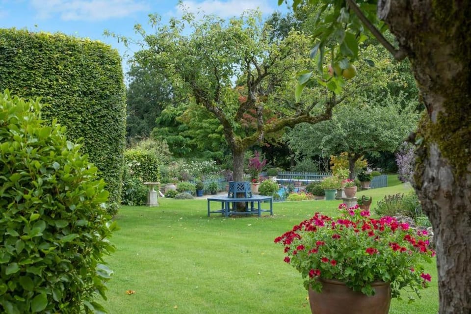 Garden view
