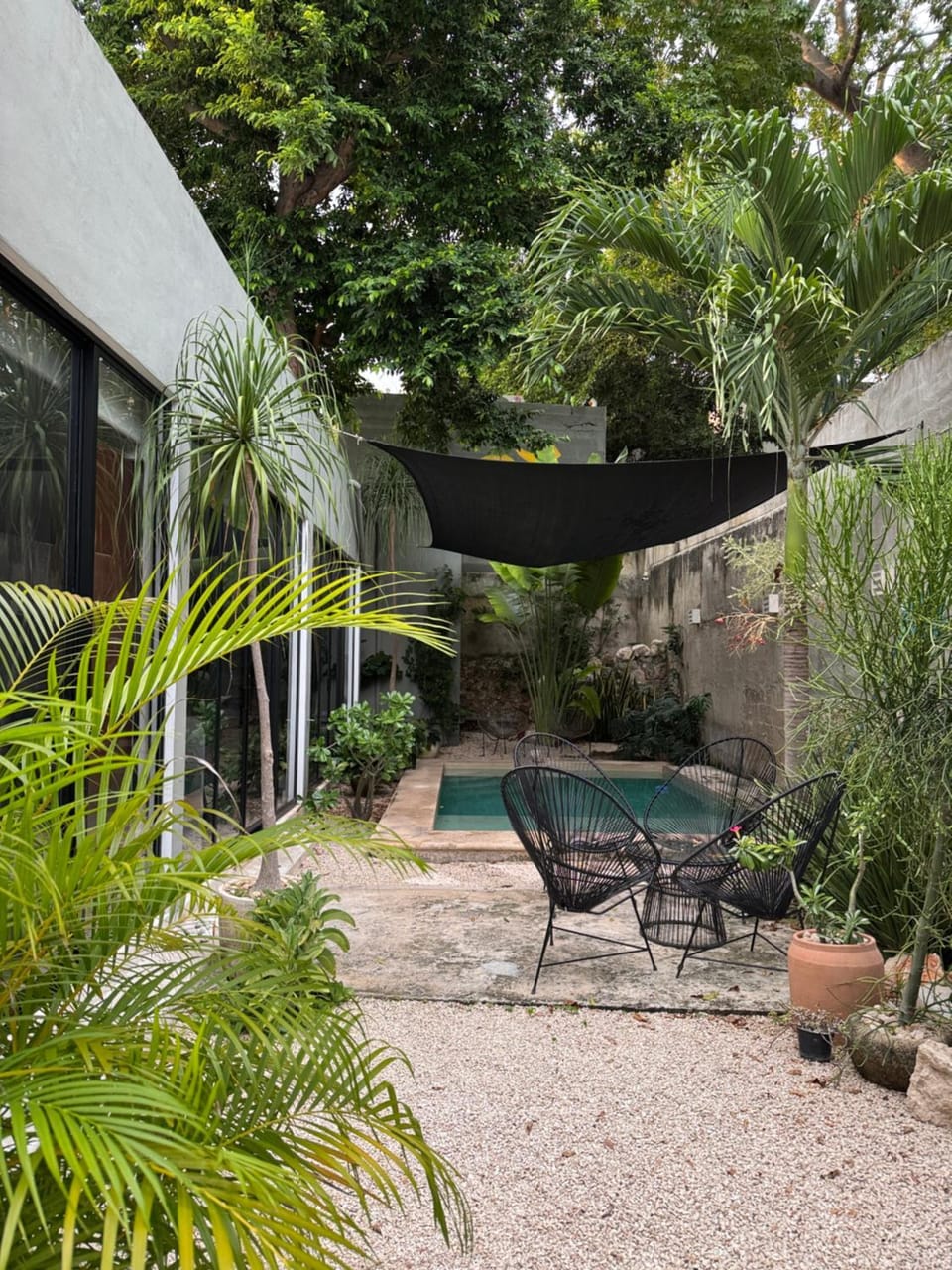 Garden view, Pool view, sunbed