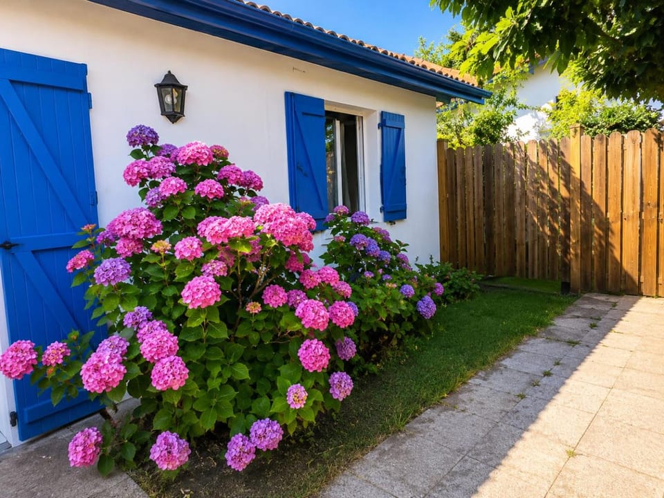 Property building, Spring, Day, Garden, Garden view