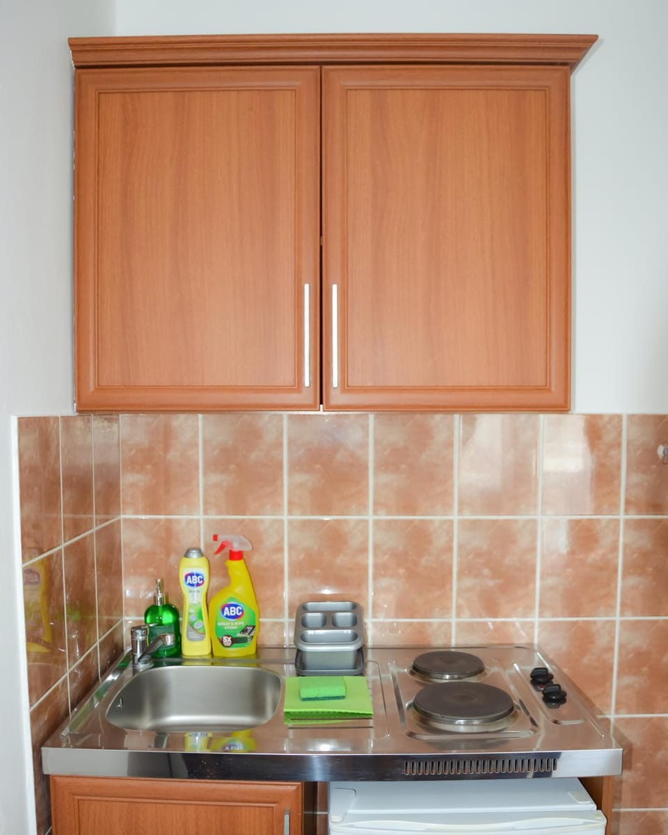Kitchen or kitchenette, kitchen