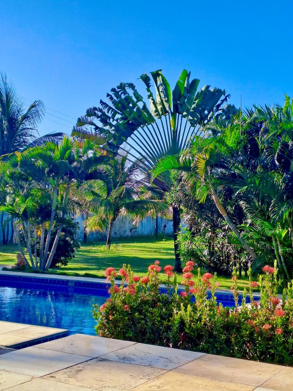 Garden view, Pool view